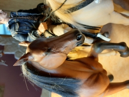 20200828_160921.jpg