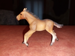 20220115_131944.jpg