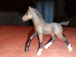 20220115_132005.jpg