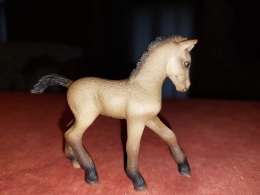 20220115_132028.jpg