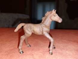 20220115_132043.jpg