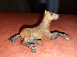 20220115_132135.jpg
