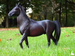 A55FD6DF-3D94-4785-8AAD-55D93AA03704.jpeg
